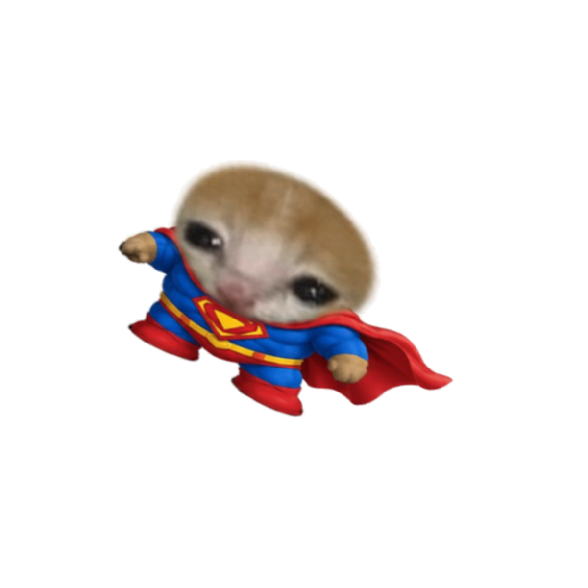 SUPER MINI flight pose